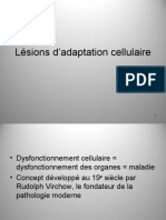 Lésions D'adaptation Cellulaire