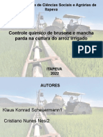 Controle Quimico Arroz