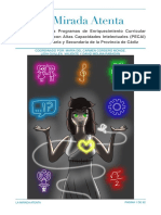 La Mirada Atenta Versión Final Noviembre 2019.pdf Programa Enriquecimiento AC
