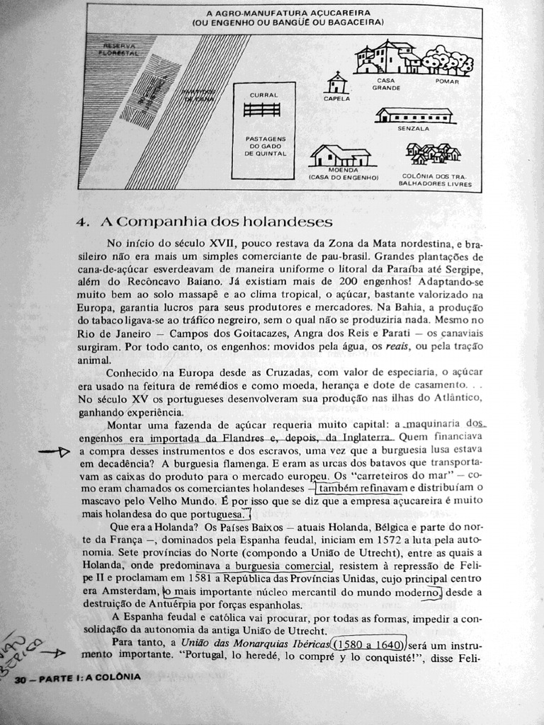 Hist ria da sociedade brasileira pp 30 42 download gr tis pdf