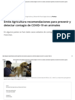Emite Agricultura Recomendaciones para Prevenir y Detectar Contagio de COVID-19 en Animales