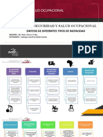 Sintesis de Difeerntes Tipos de Incpacidad