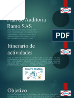 Plan de Auditoria Ramo SAS