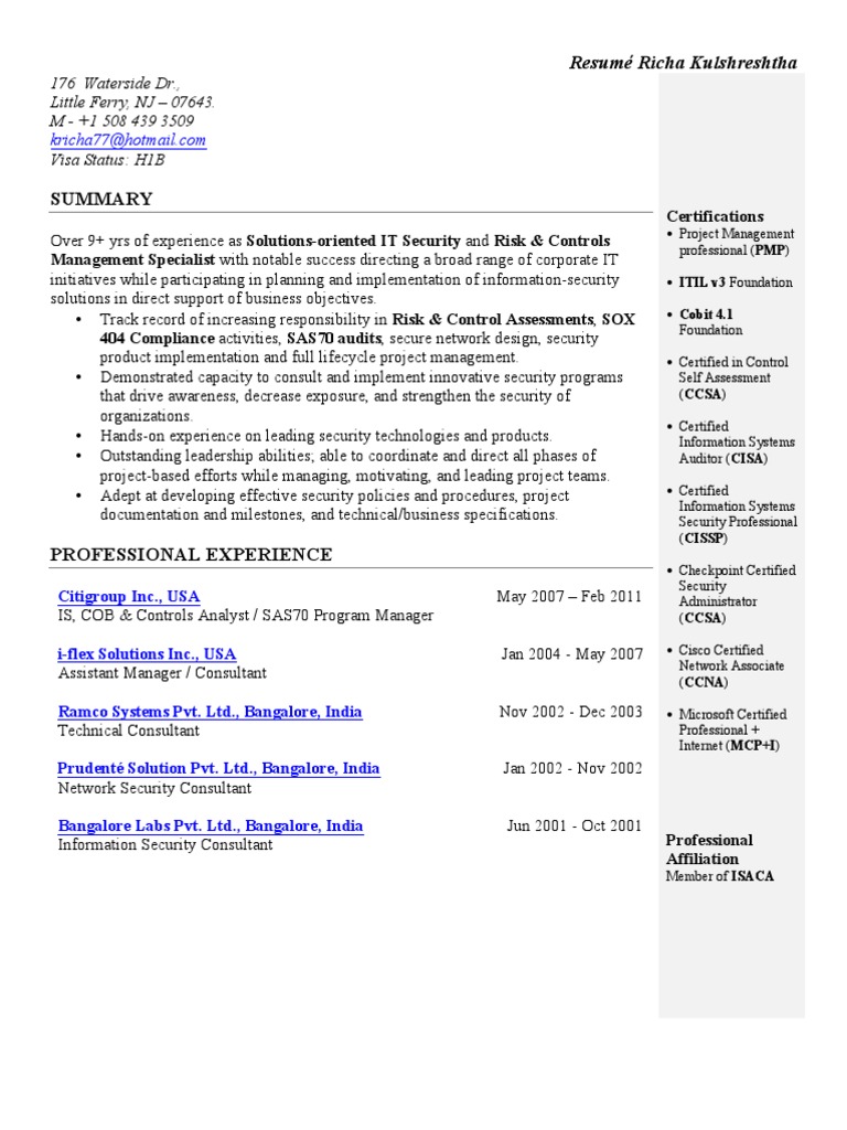 IT Security & Risk Specialist Resume | PDF | Secure Communication | Audit