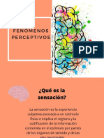 Fenómenos Perceptivos