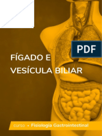 Fígado, vesícula e bile: funções e processos