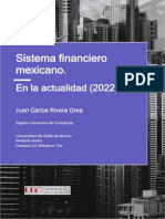 Sisitema Financiero Mexicano 2022