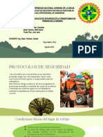Protocolos de Seguridad - Transformacion Primaria de La Madera