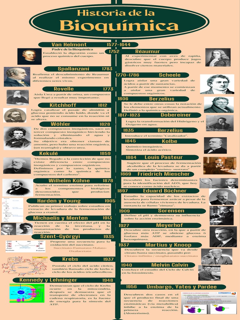 Linea Del Tiempo de La Bioquimica