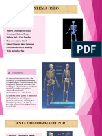 El Sistema Oseo Diapos