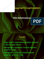 ANTERIOR SEGMENT EXAMINATION