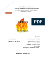Informe #5 Del Fuego