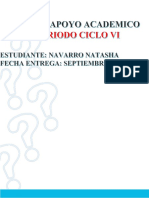 Plan de Apoyo - Ciclo Vi - 1 Periodo - Natasha Navarro - Agosto 28