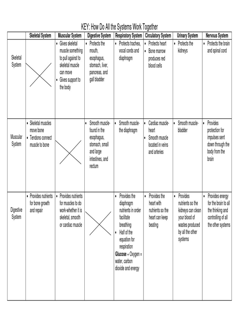 Organ Systems | Download Free PDF | Human Body | Skeletal Muscle