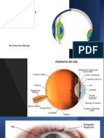 Biomecanica Ocular