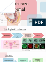 Embarazo Normal