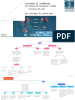 Morfologia y Fisiologia Del Sistema Renal - ZCJE