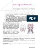 Traumas faciales y cicatrización