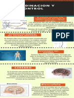 Tarea Modulo 3 Anatomia Infografia