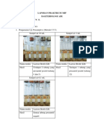 LAPORAN PRAKTIKUM MIP Bakteriologi Air