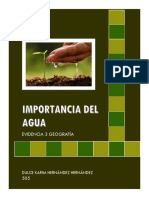 Ensayo Importancia Del Agua