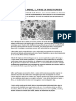 La Viruela Símica o También Llamada Viruela Del mono-SOLUCION