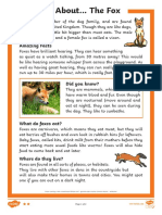 All About Foxes Reading Comprehension