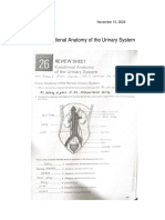 Act 14 Functional Anatomy of The Urinary System