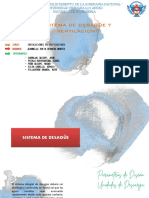 Sistema de Desagüe y Ventilacion