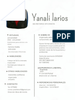 Curriculum Vitae Yanali