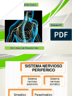 Semana 7 Neuro I