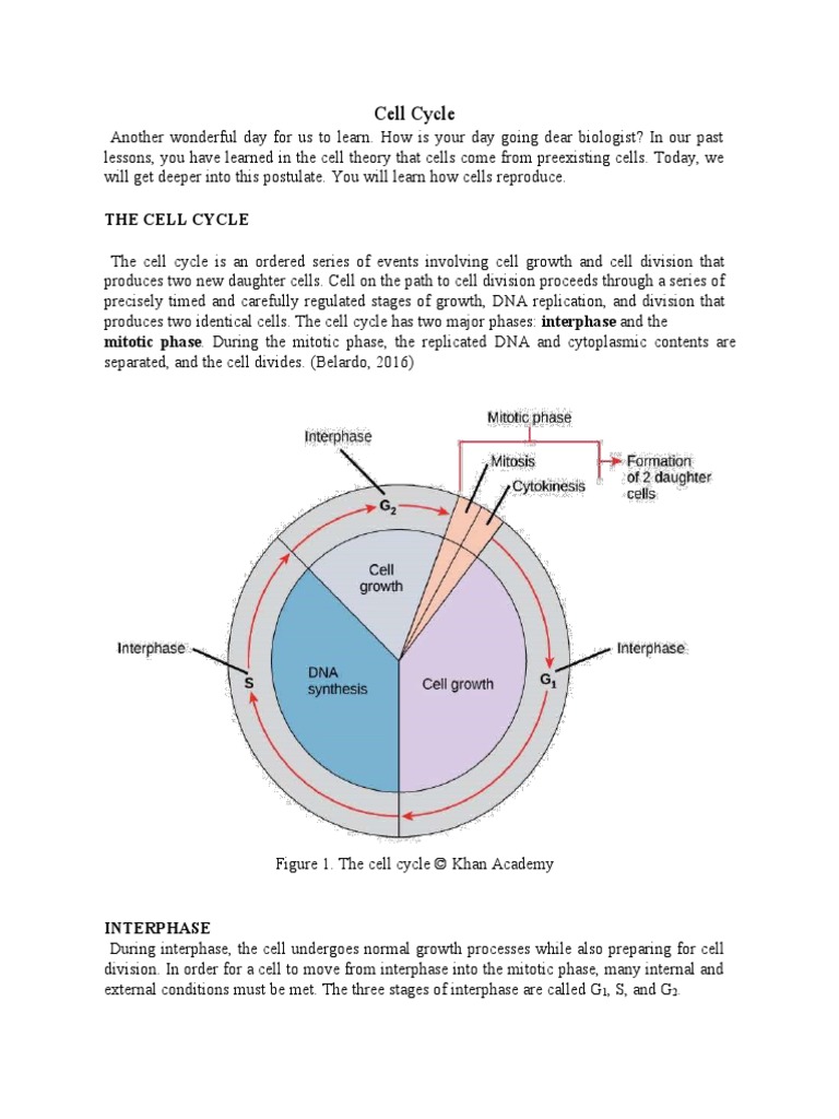 Cell Cycle Notes Biology Diagrams