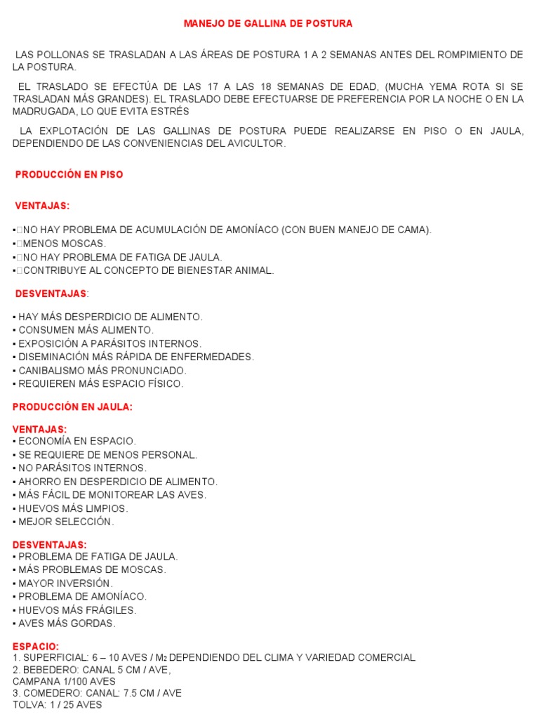 Manejo de Gallina de Postura | PDF | Pollo | Huevo