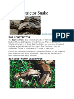 The Boa Constrictor Facts