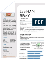 CV Lebihan Rémy