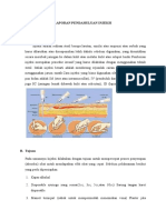 Laporan Pendahuluan KDP - Injeksi