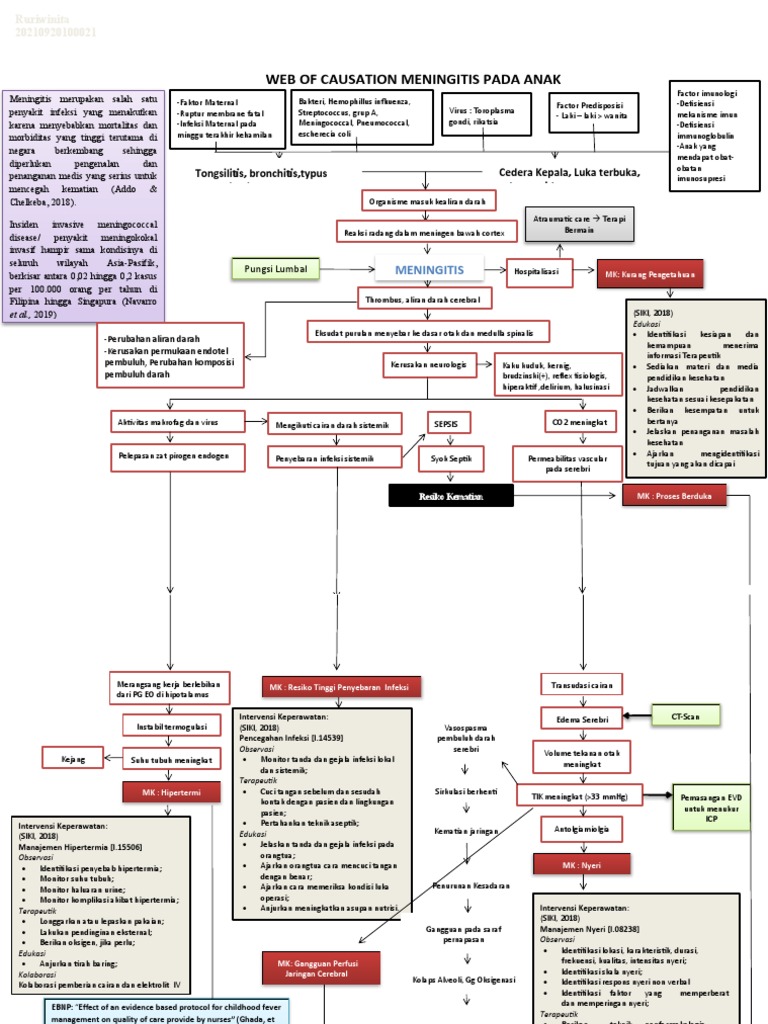 Web of Causation Meningitis PDF