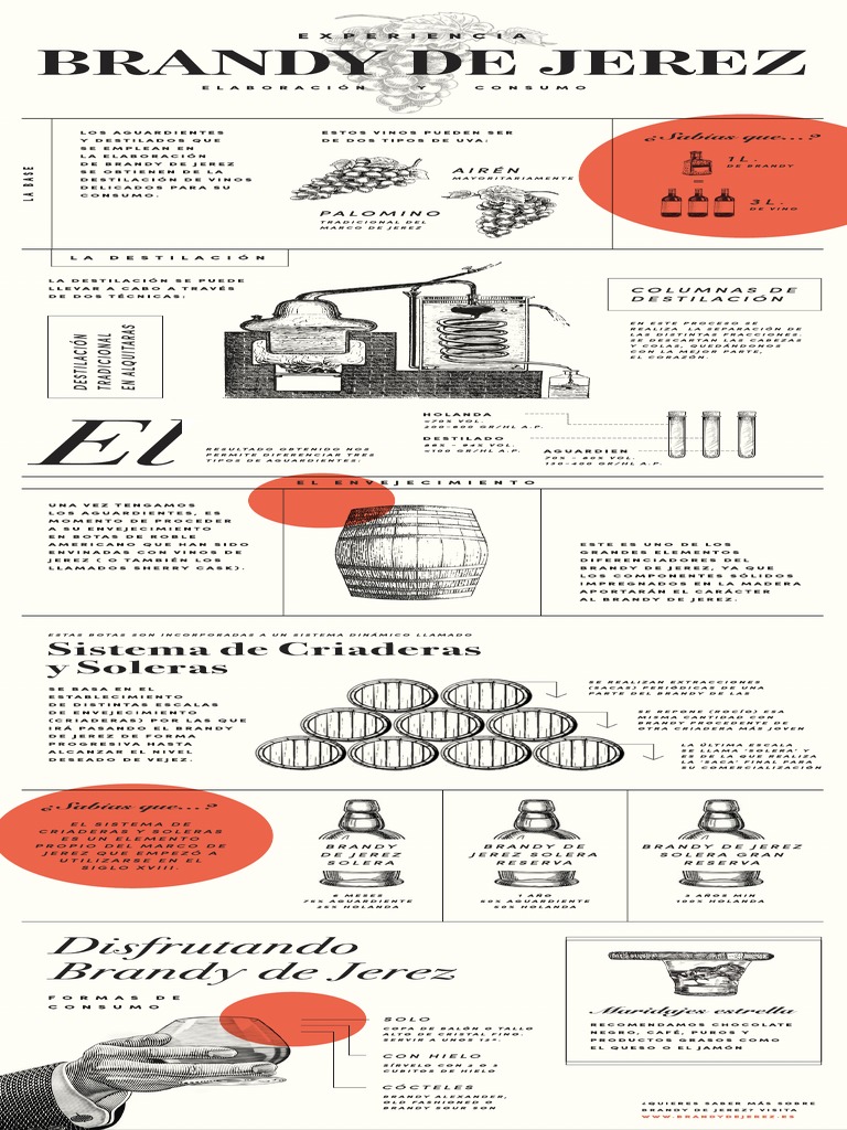 Brandy de Jerez. Infografia. Elaboracion y Consumo PDF brandy