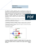 1-0 Recuerdo Anatomofisiologco Ap Respiratorio Campus