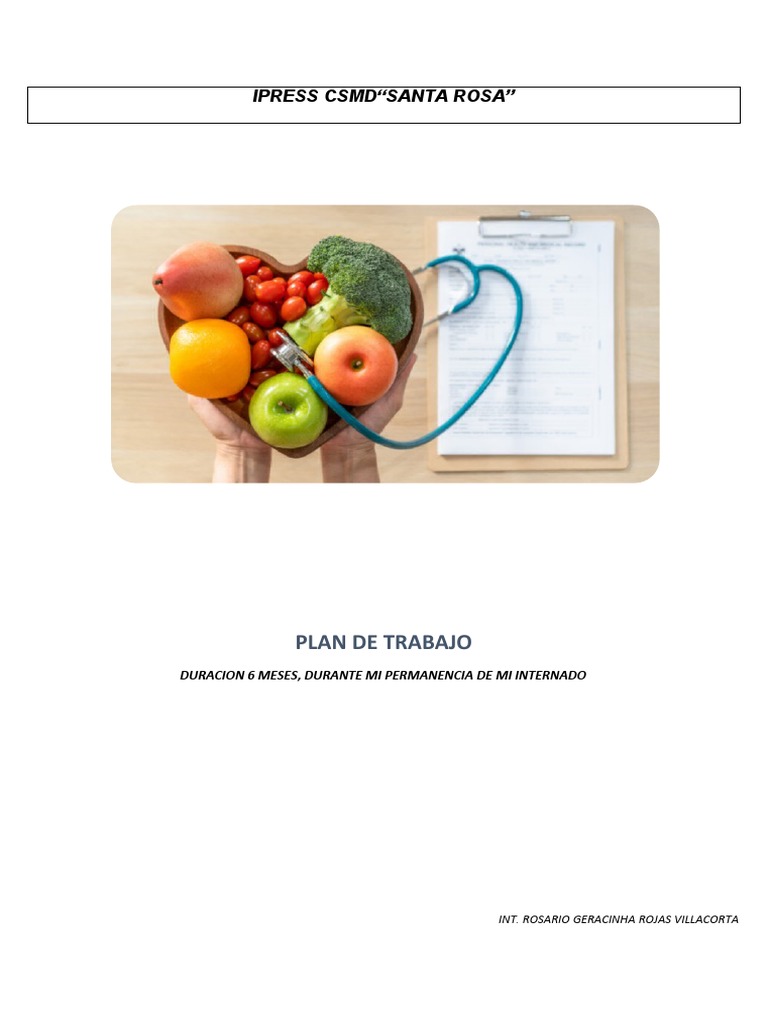 Plan de Trabajo en Nutrición IPRESS Santa Rosa | PDF | Nutrición ...