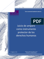 Juicio de Amparo Como Instrumento Protector de Los Derechos Humanos