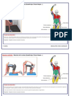 Musculation