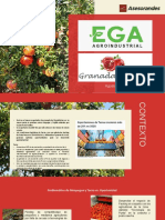 Deck EGA Agroindustria y GDS JA.