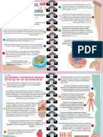 Células, Tejidos, Órganos y Sistemas.