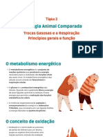 Fisiologia Animal Comparada Tópico 3 - Metabolismo Energético