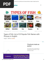 Types of Fish - List of 29 Popular Fish Names With Pictures in English - English Study Online