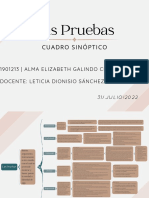 Cuadro Sinóptico de La Prueba