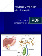 4. Viêm Đường Mật Cấp