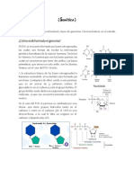 Genomica Estructural