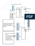 Algoritmo OVACE Adultos 2